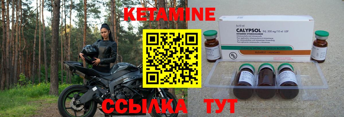 ГАШ Нововоронеж