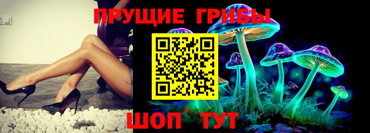 Галлюциногенные грибы мухоморы Нововоронеж