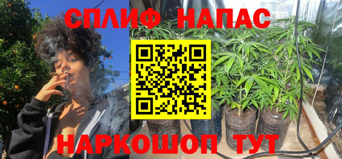 Марихуана план Нововоронеж